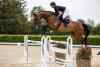 Foto: Heroika HaS v. Baloubet du Rouet-Casall (Katalognummer 102) hat bereits Parcourserfahrung bis 1,30 Meter-Springen - Fotograf: Stefan Lafrentz