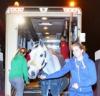Foto: Ankunft der Springpferde - Fotograf: CHI Al Shaqab