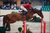 Foto: Keiner war so schnell wie Deutschlands Tim Hoster mit Cardinale - Fotograf: Manfred Leitgeb