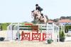 Foto: Auktionspferd Hulapalu (*2011, Heartbeat x Carano) 