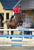 Foto: Stakkato Gold-Nachkommen Stakki´s Jumper - Fotograf: Sibil Slejko