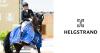 Foto: Isabell Werth/Wendy de Fontaine - Fotograf: Helgstrand Dressage