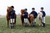 Foto: Impressionen Reitsportzentrum Brundiers - Fotograf: Privat