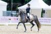 Foto: Mette Sejbjerg Jensen gewinnt mit Proud James die erste Qualifikation der fünfjährigen Dressurpferde in Verden - Fotograf: Sportfoto Lafrentz