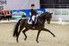 Foto: Hier zu sehen sind die Sieger der Qualifikationsprüfung 2017 zum Louisdor-Preis in Oldenburg: Jessica von Bredow-Werndl und die 10-jährige Trakehnerstute Dalera BB von Easy Game x Handryk - Fotograf: sportfotos-lafrentz.de