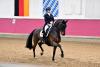 Foto: Championatsreiterin Jessica von Bredow-Werndl und Diallo konnten bei ihrer gemeinsamen Turnierpremiere in München-Riem glänzen und bereiten sich nun auf einen Start bei Horses & Dreams vor - Fotograf: Fotoagentur Dill