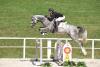 Foto: Vierjährig siegreich in einer Springpferdeprüfung: Warino, ein Sohn des Winningmood v.d. Arenberg. - Fotograf: Kiki Beelitz