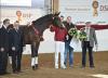 Foto: Prämienhengst und späterer Süddeutscher Champion DSP De Sandro mit v.li.: Dieter Doll (Vorsitzender PZV Baden-Württemberg), Karl-Heinz Bange (Vorsitzender Süddt. Pferdezuchtverbände), Vorführer und Aussteller Matthias Schepper, Aussteller Frieder Heilemann und Züchter Adolf Lembke - Fotograf: Hubert Fischer