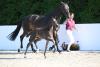 Foto: Preisspitze Sweet Surprise LH - Fotograf: Hubert Fischer
