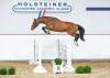 Foto: Prämienhengst der Holsteiner Körung: Keaton II v. Kannan – Contendro I - Fotograf: Janne Bugtrup
