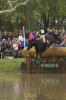 Foto: Andrew Nicholson auf Quimbo .- Fotograf: Rolex Kentucky Three-Day Event