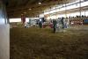 Foto: Die Reithalle der Familie Walter in Ellwangen-Killingen - Fotograf: HORSE classics INDOOR