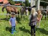 Foto: Kinder an der Koppel - Fotograf: Gille Eberhardt