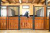 Foto: Die neuen Boxen auf Schloss Falkenhaus - Fotograf: Slawik Equine Photography