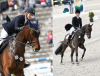 Foto: Julia Krajewski/Chipmunk FRH und Felix Etzel/Bandit bei Ihren Auftritten in Marbach 2018 bzw. 2017 - Fotograf: Thomas Hartig/equistock.de