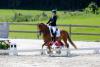 Foto: Thora Sander und Terbofens Quantus gewannen mit großem Abstand die Etappe des Kuschel Cups in Loop - Fotograf: RathmannVerlag/Tina Siebenhaar