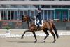 Foto: Annabelle unter Helen Langehanenberg auf dem Weg zu Teamgold bei der Dressur-EM 2021 in Hagen a.T.W. - Fotograf: www.Sportfotos-Lafrentz.de 