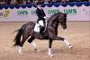 Foto: Dante Weltino unter Therese Nilshagen/SWE - Fotograf: LL-Foto