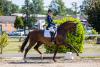 Foto: Bon Courage unter Jessica Lynn Thomas/SWE - Fotograf: www.Sportfotos-Lafrentz.de