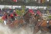 Foto: Es zeigt den Schweizer Vierspännerfahrer Werner Ulrich, der beim CHIO Aachen den katarischen Springreiter Hamad Ali Mohamed Al Attiyah als „Passagier“ an Bord hat - Fotograf: CHIO Aachen/ Michael Strauch