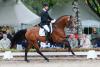 Foto: LEMERCIER ein Allroundtalent - Fotograf: Olav Krenz