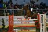 Foto: Leo Renner mit Collien 13 siegreich in der heutigen Springprüfung der Klasse S* der Large Tour bei den Junioren und Jungen Reitern - Fotograf: Fotoagentur Dill