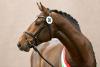 Foto: Like a Diamond NRW