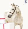 Foto: Liv Tyler v. Durango VDL - Lucky Boy - Cordeur - Fotograf: OLD Art