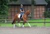 Foto: GHF-Toppofferte Louis Crusador - Fotograf: Sabine Wegener/Equitaris