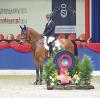 Foto: Love Affaire v. Lincolm L - Cornet Obolensky aus der Springpferdekollektion - Foto: Gr. Feldhaus