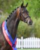 Foto: Lovely Lennox v. Lennox U.S