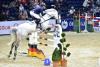 Foto: Michale Jung: Reitmeister - Olympiasieger und Gast beim Braunschweig CLASSICO · Fotograf: Foto - Design gr. Feldhaus