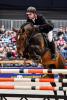 Magnus Romeo Gestüt Grenzland Fotograf für reitturniere.de Tim Heide