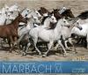 Ab sofort erhältlich: der große Marbach Kalender 2013 (Foto: Edition Boiselle)