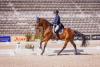 Foto: Michael Jung/Ginster - Fotograf: Jan Frohne