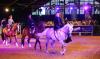 Foto: Diese Schaunummern finden 2021 leider nicht statt: Marbach Classics - Fotograf: Warnack