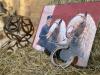 Foto: Marbach-Kalender aus der Edition Boiselle - Fotograf: Boiselle