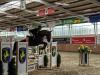 Foto: Marcus Ehning - Fotograf: Ein Vereinsmitglied des Reitvereins Vreden