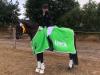 Foto: Marisa Wirst qualifizierte sich mit ihrer Holsteiner Stute California Kiss in Kosel für das große LVM Cup Finale beim CSI Holstein International in Neumünster - Foto:Privat