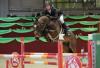Foto: Marcel Marshall (GER) und Castigo della Caccia am Weg zum Sieg im EY-Cup Opening. - Fotograf: Fotoagentur Dill