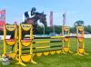 Foto: Holte sich mit Flora die erste Platzierung beim Fehmarn-Pferde-Festival - Mathies Rüder - Fotograf: HelenHippique