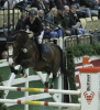 Foto: Holsteiner Verbandshengst Million Dollar mit Ebba Johannsson bei Holstein International 2018 - Fotograf: Holstein International