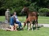 Foto: Mitglied werden und profitieren - Fotograf: ©OLD Art