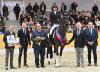 Foto: Morricone v. Millennium/Trak. wurde zum Future Sire gekürt. Auf dem Foto v.l.: Robert Conredel vom Gestüt Bonhomme, Marco Pundsack, OL-Vorstand, Züchtersohn Theo Vahle, Morricone I mit Moritz Treffinger im Sattel, Oldenburgs Präsident Dr. Wolfgang Schulze-Schleppinghoff und Wilfried Fleming, OL-Vorstand - Fotograf: Beelitz