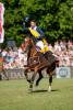 Foto: Derbysieger 2017 Pato Muente auf der Holsteiner Stute Zera (Cero-Calato-Landadel/Harm Thormählen (Kollmar) - Fotograf: Stefan Lafrentz