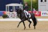 Foto: Raphael Netz und Elastico - Fotograf: Sportfoto-Lafrentz.de