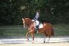 Foto: Nadine Husenbeth und Florida gewinnen den Grand Prix in Schenefeld. - Fotograf: Tierfotografie Huber