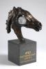 FURUSIYYA FEI NATIONS CUP™ JUMPING 2013 