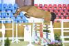 Foto: Champion der Vierjährigen wurde ein Wallach v. Check In - Ludwig von Bayern - Lordanos aus der Zucht von Andrea Malissa, Buchholz. Seine Mutter ist keine Geringere als die OS-Siegerstute 2009 Raja Luzandra. - Fotograf: Beelitz