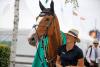 Foto: Melina Obst, Pferdepflegerin von Marcus Ehning - Fotografin: Jenny Abrahamsson / World of Show Jumping